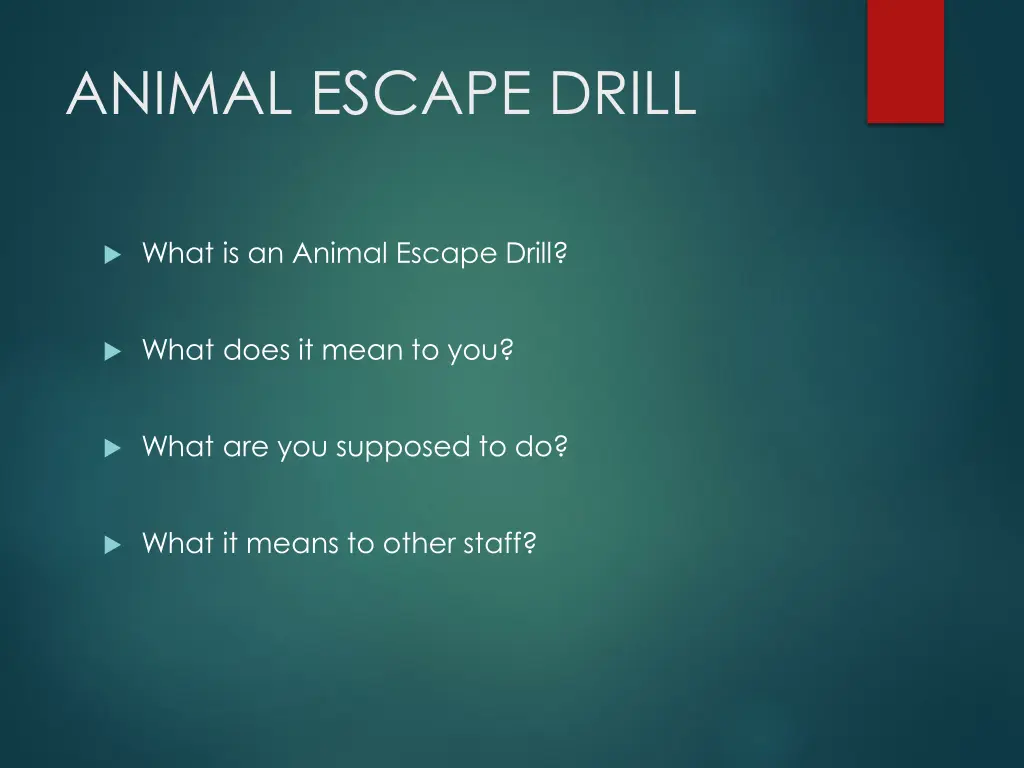 animal escape drill