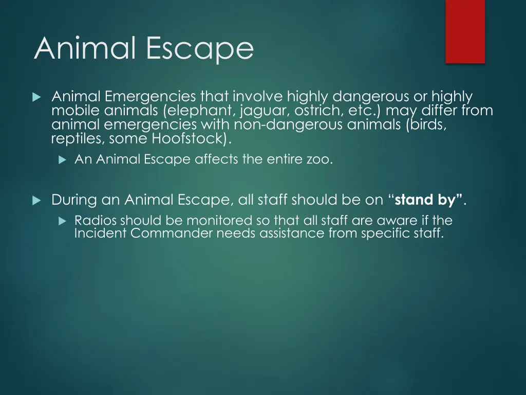 animal escape