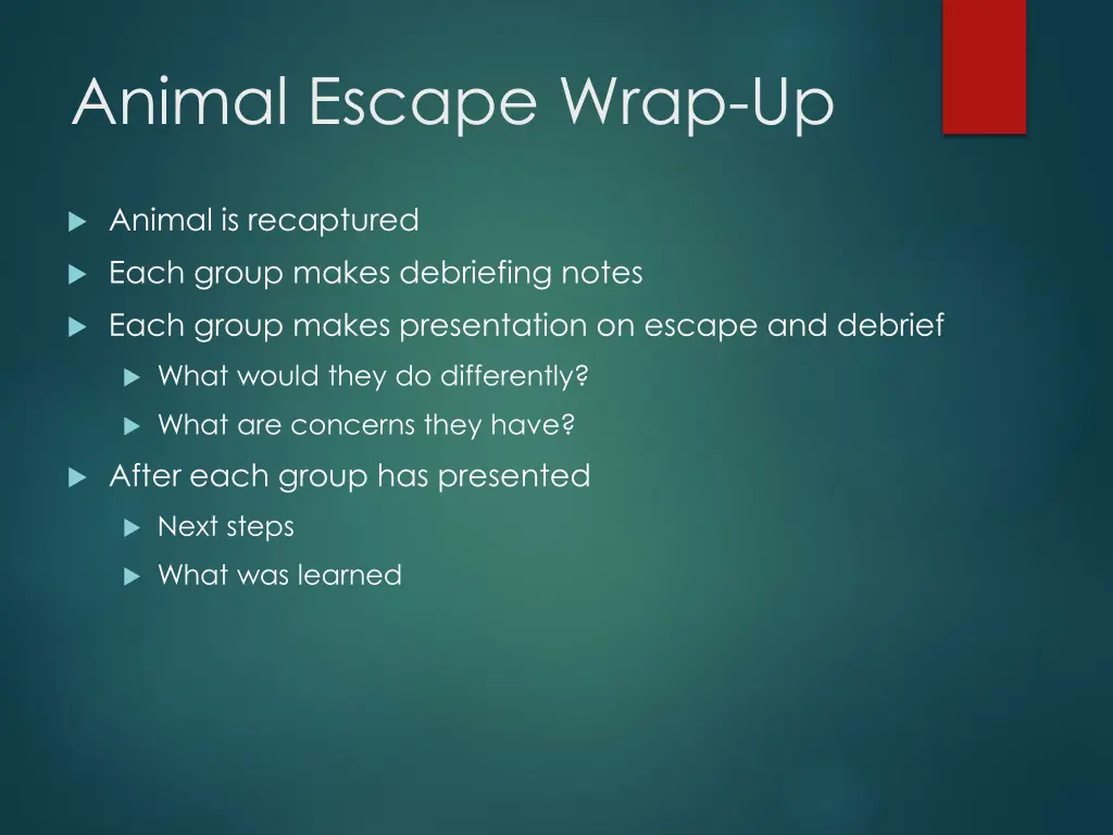 animal escape wrap up