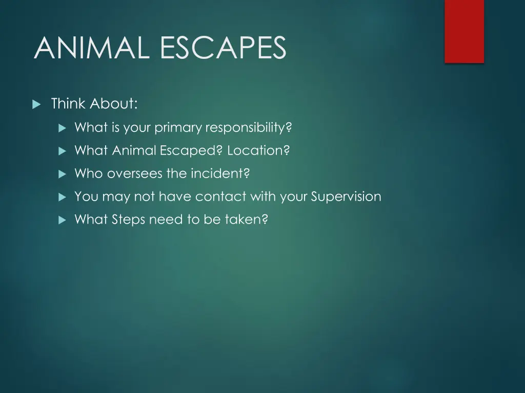 animal escapes