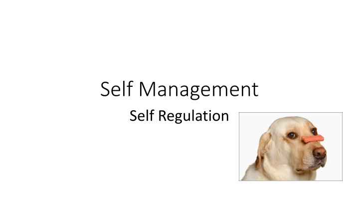 self management self regulation