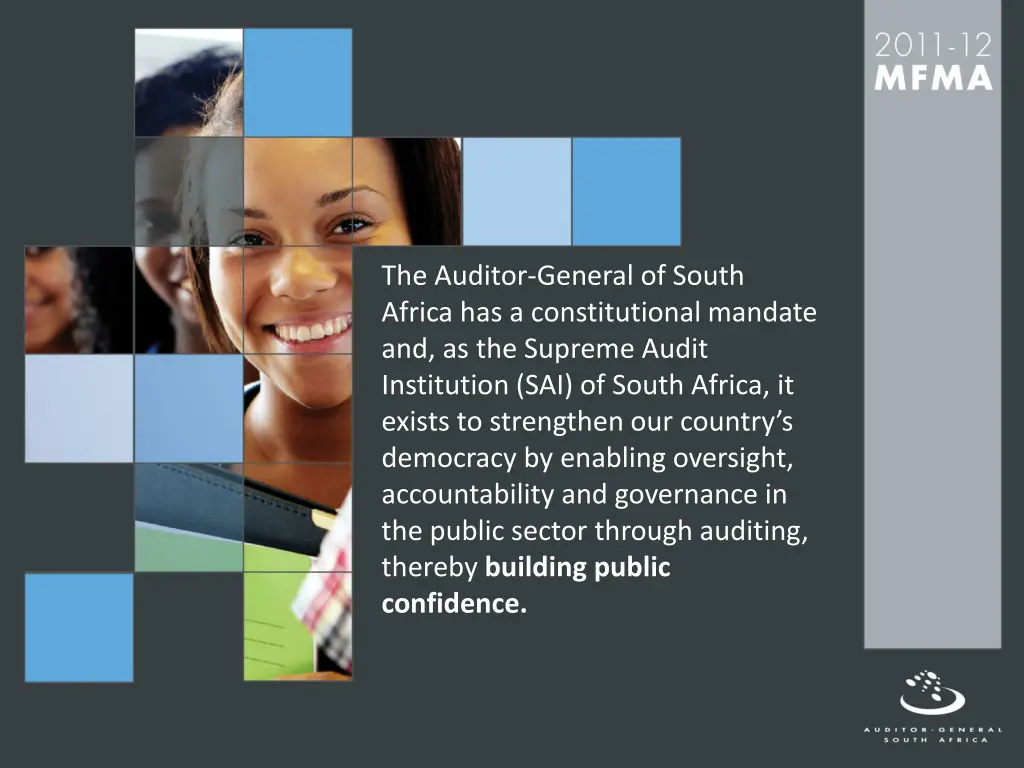 the auditor general of south africa