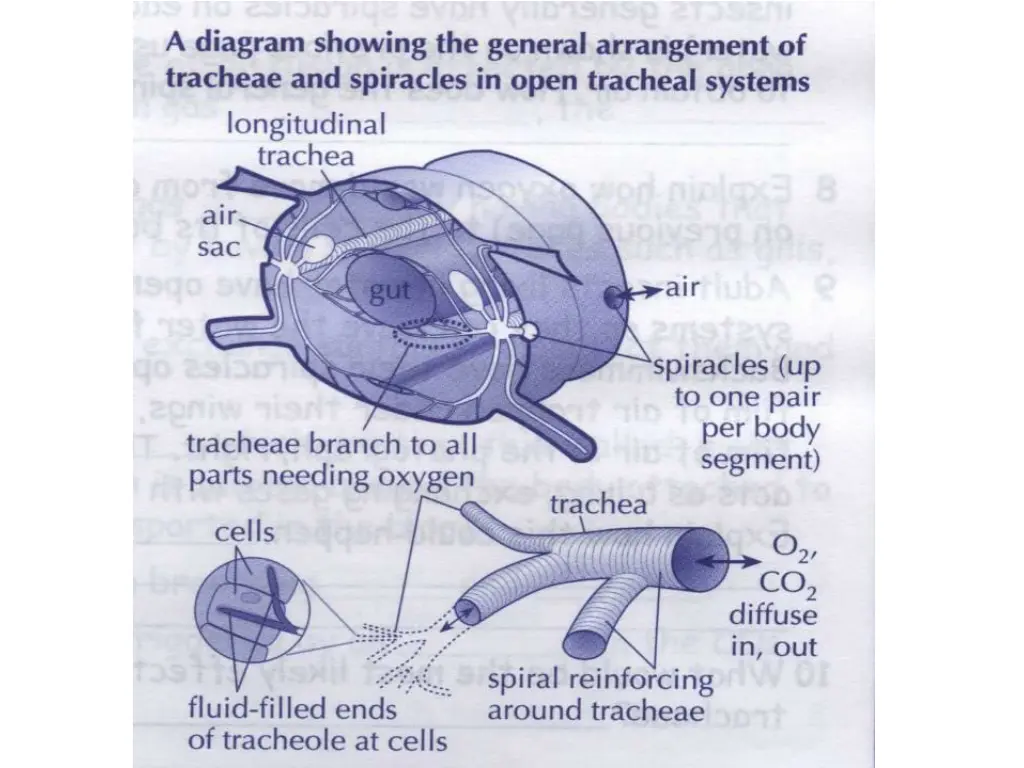 slide8