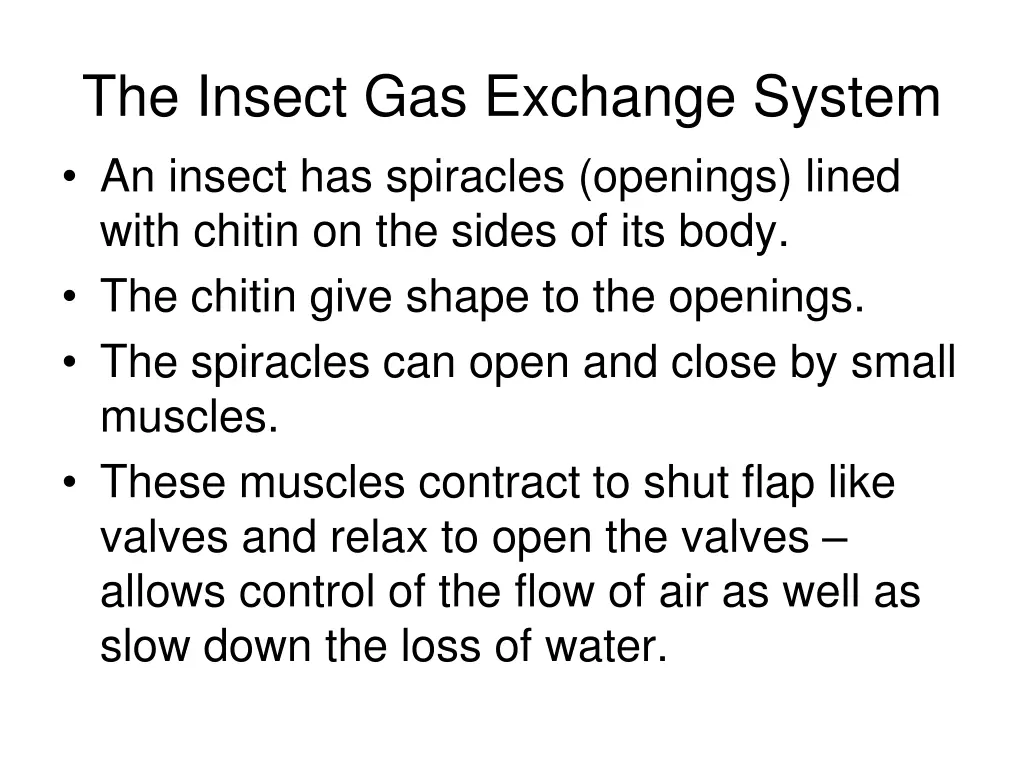 the insect gas exchange system an insect