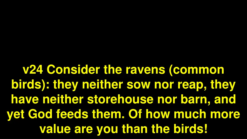 v24 consider the ravens common birds they neither