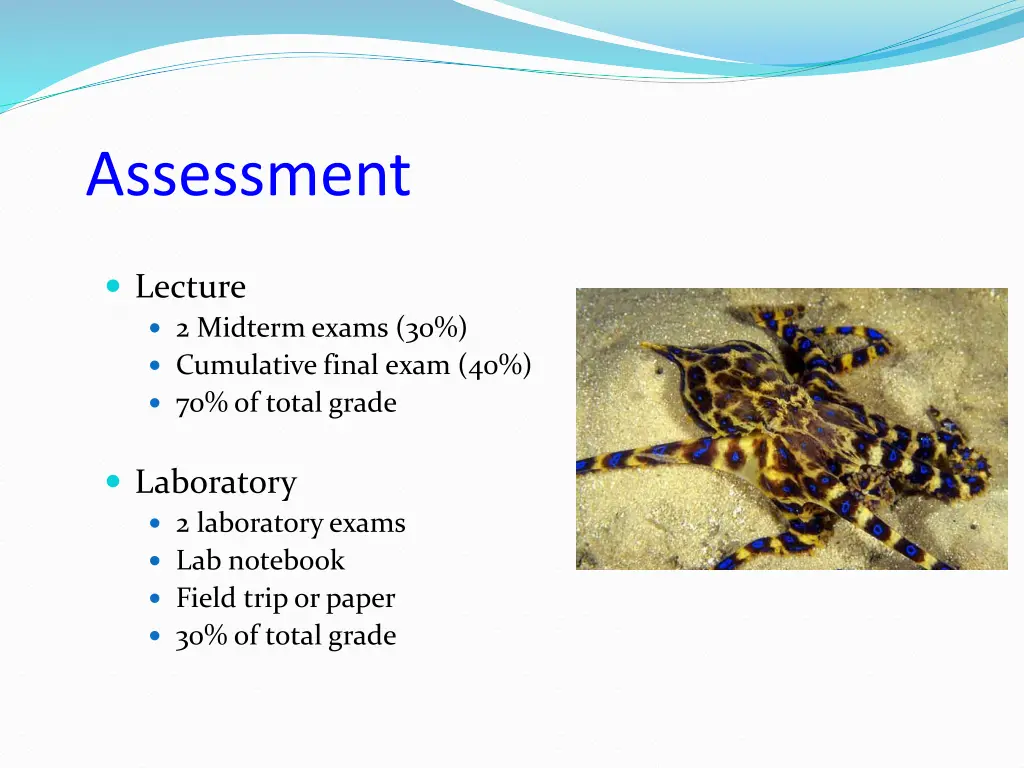 assessment