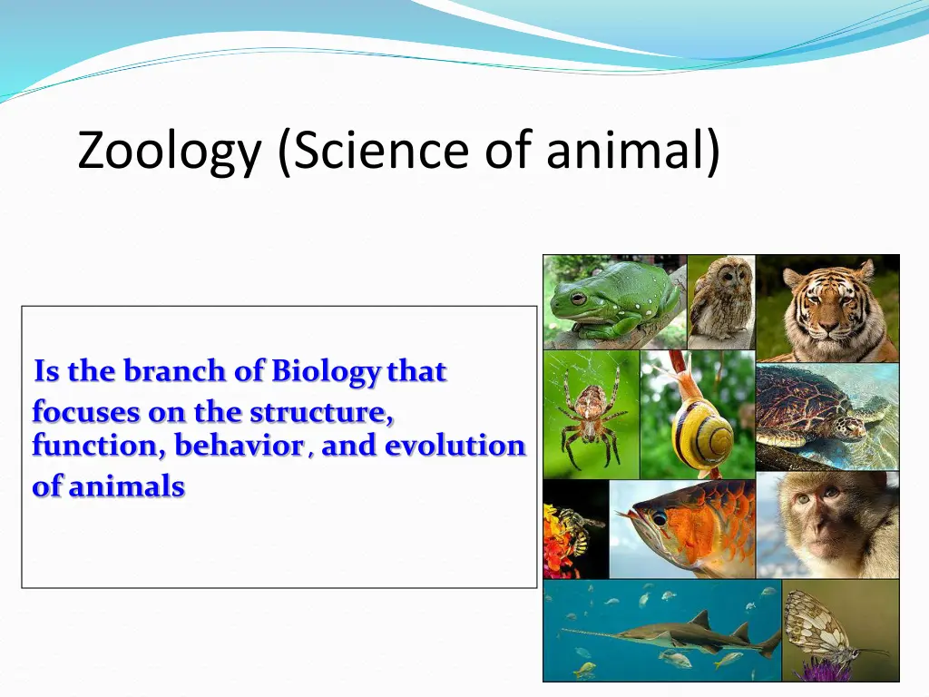 zoology science of animal