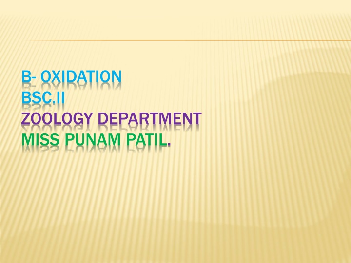 b oxidation bsc ii zoology department miss punam