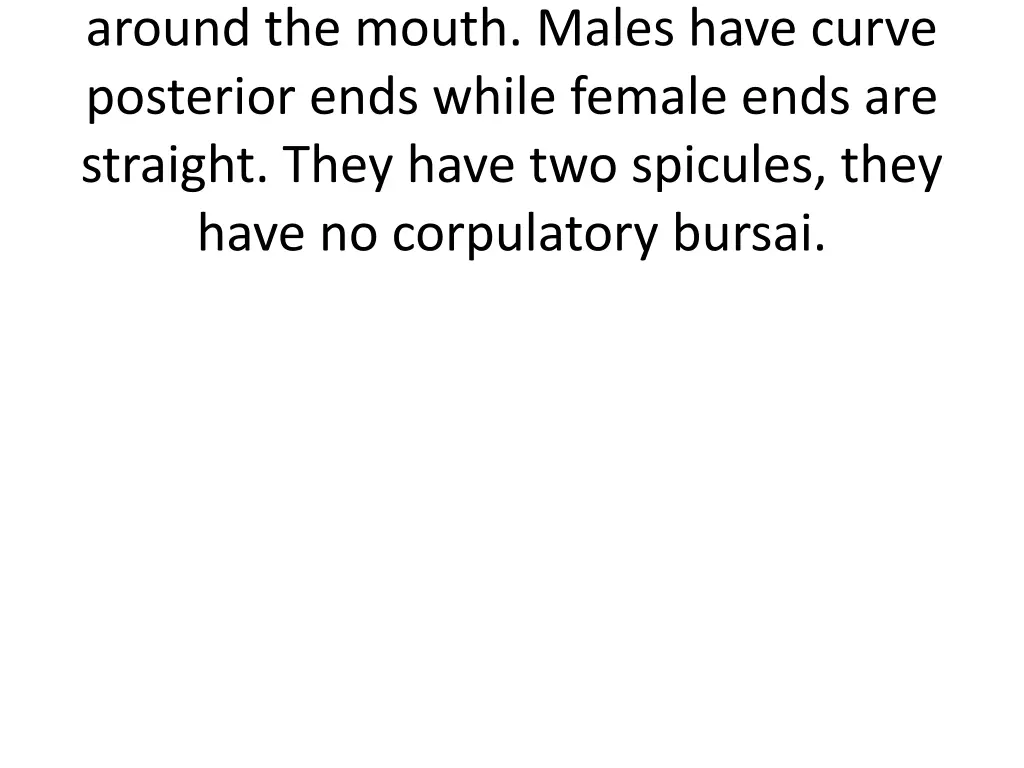 around the mouth males have curve posterior ends