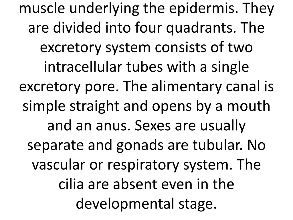 muscle underlying the epidermis they are divided