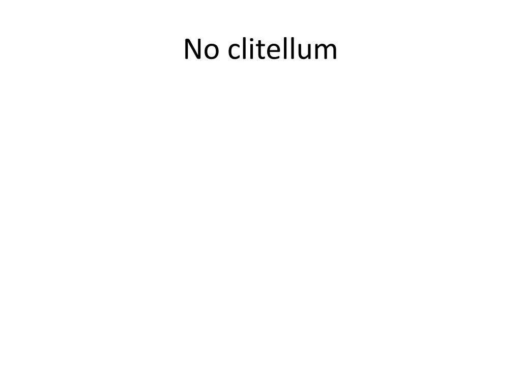 no clitellum