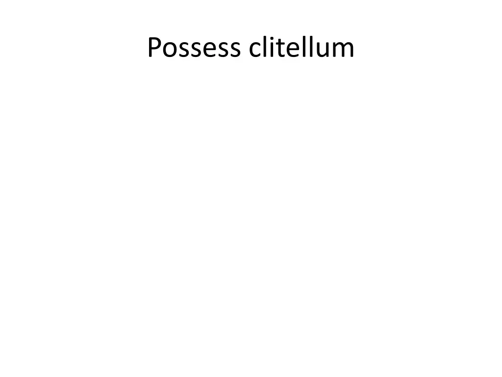 possess clitellum