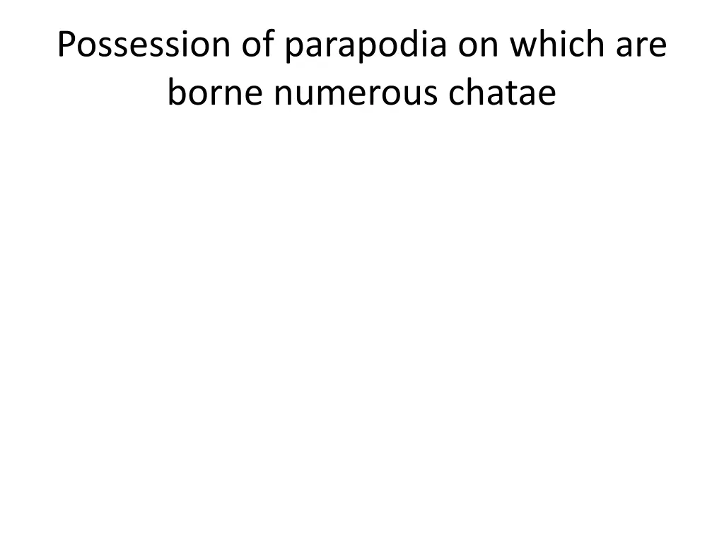 possession of parapodia on which are borne