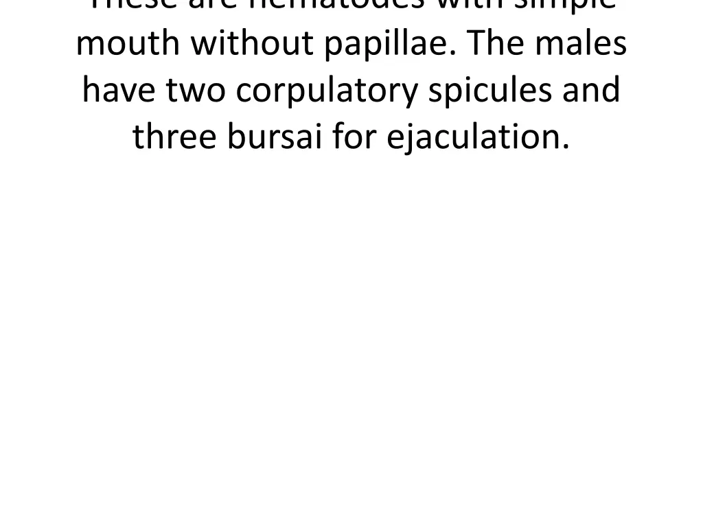 these are nematodes with simple mouth without