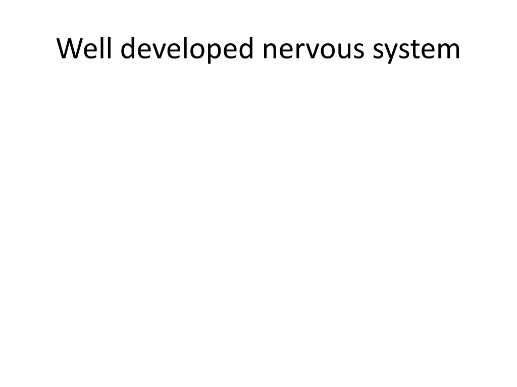 well developed nervous system