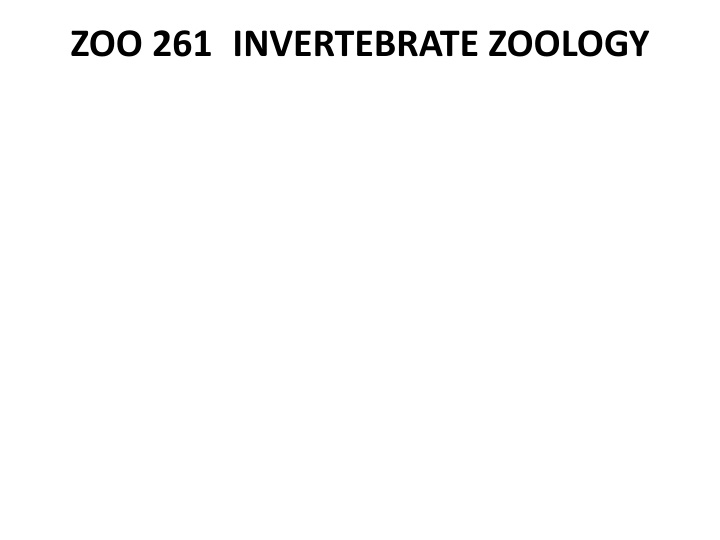 zoo 261 invertebrate zoology