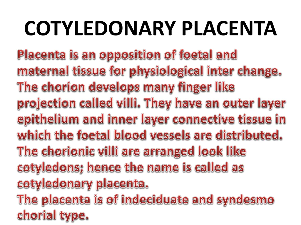 cotyledonary placenta