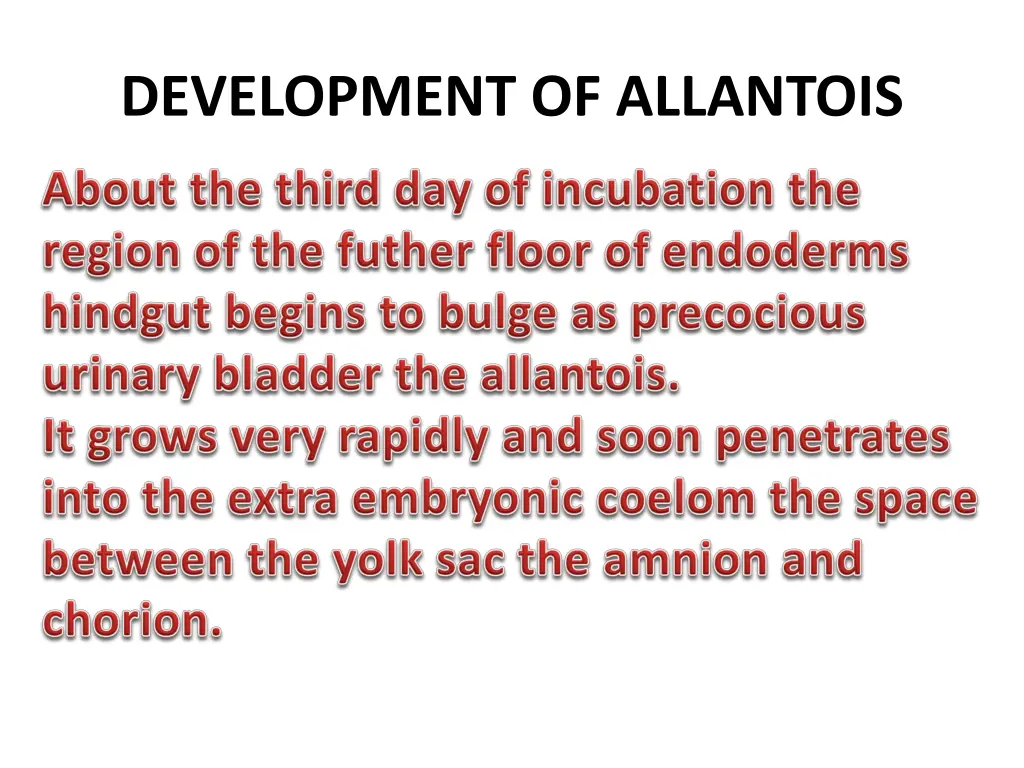 development of allantois