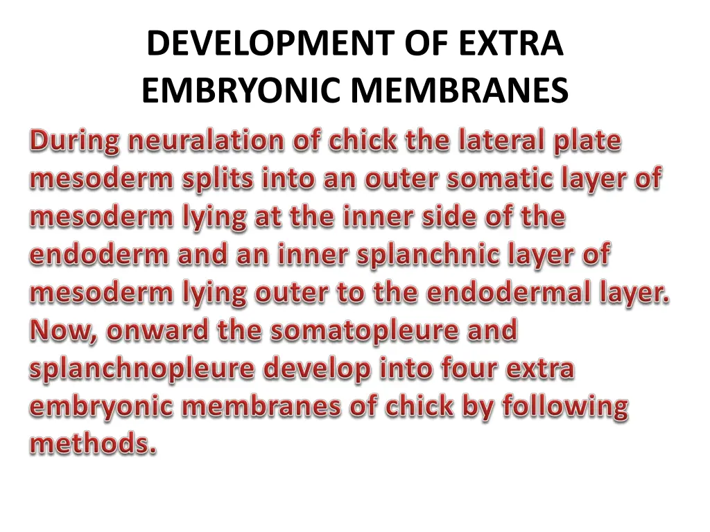 development of extra embryonic membranes