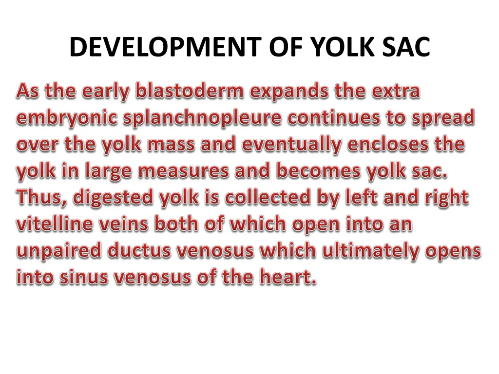 development of yolk sac