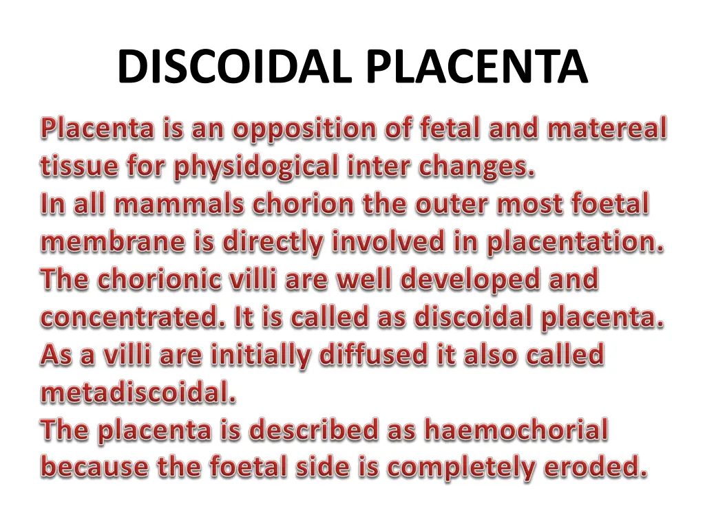 discoidal placenta