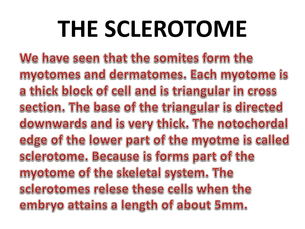 the sclerotome