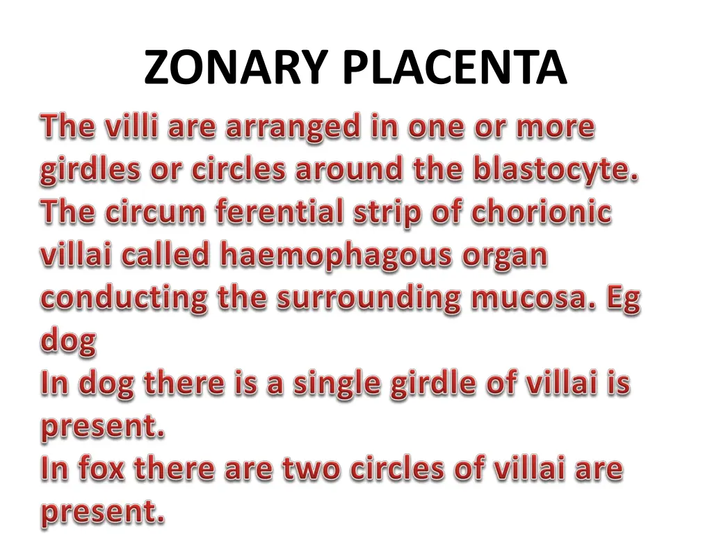 zonary placenta