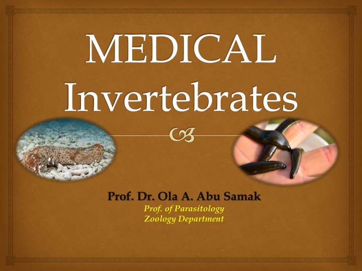 medical invertebrates