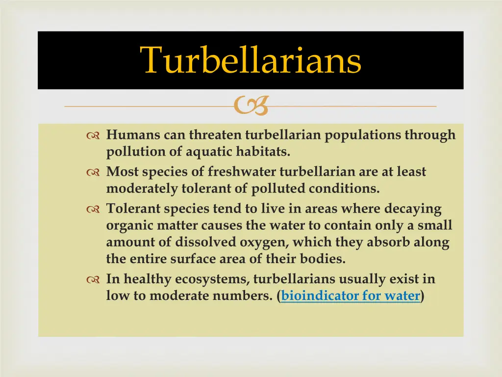 turbellarians 5