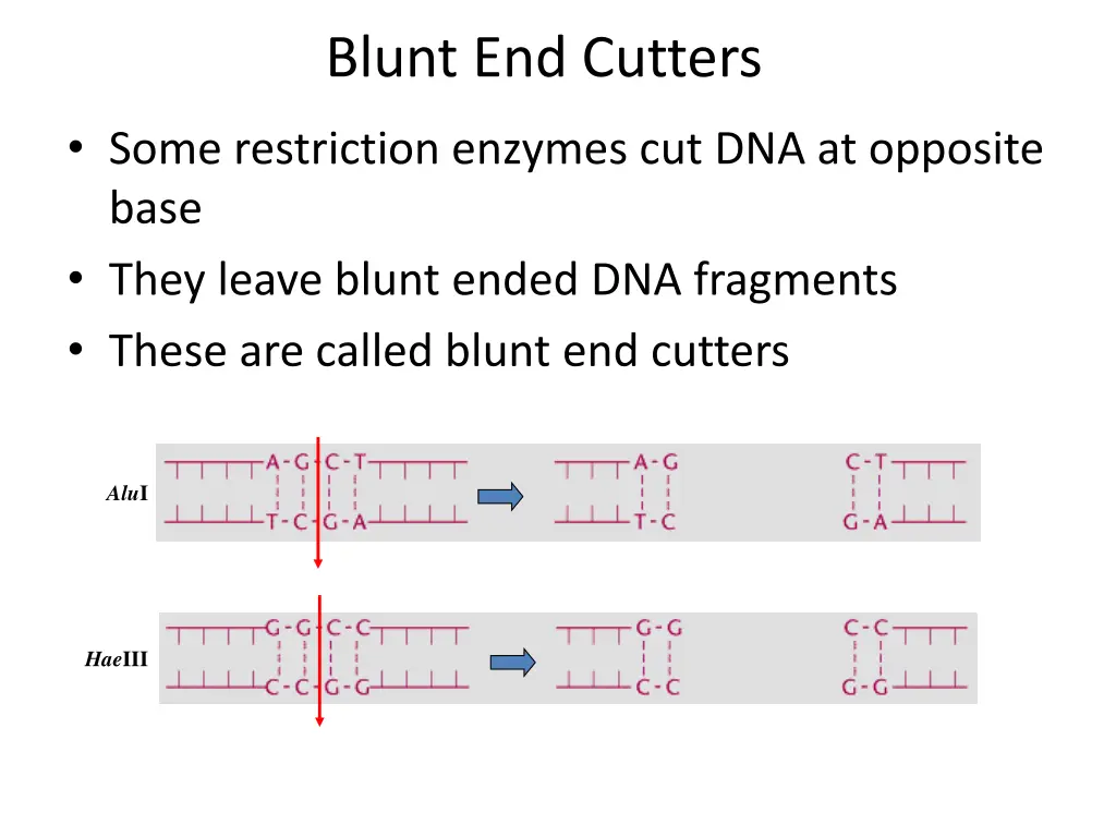 blunt end cutters