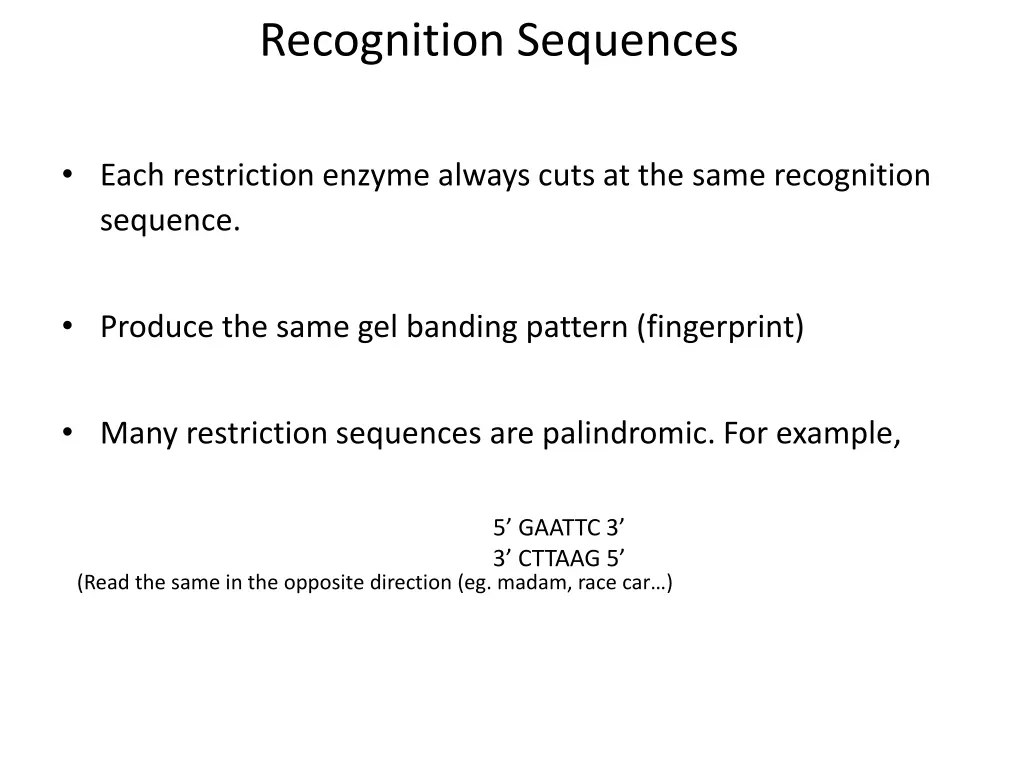 recognition sequences