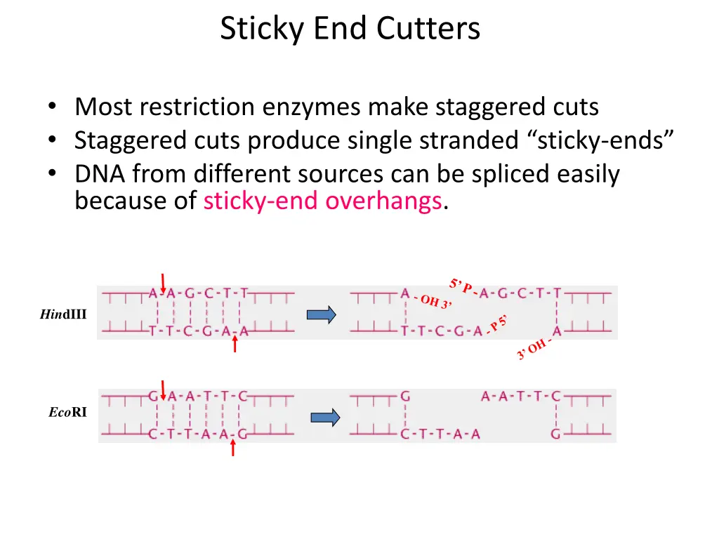 sticky end cutters