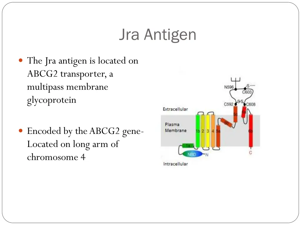 jra antigen