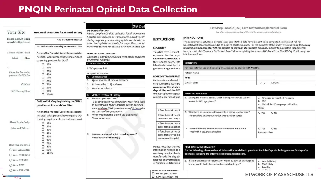 pnqin perinatal opioid data collection