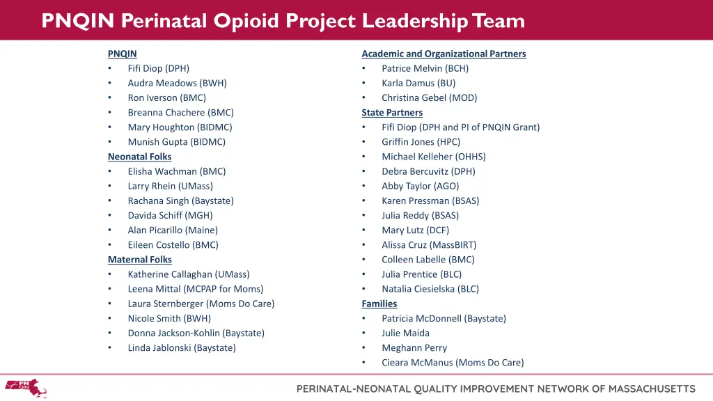 pnqin perinatal opioid project leadership team