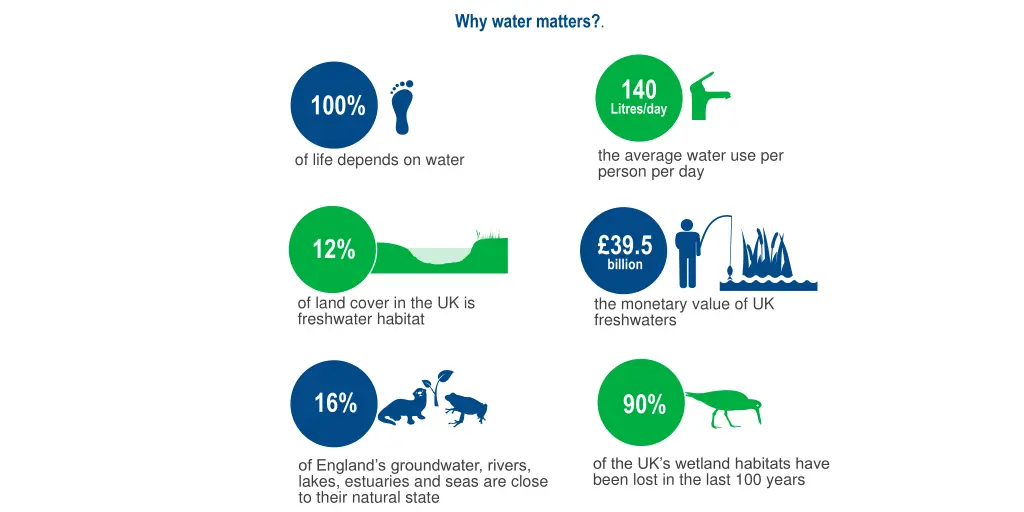 why water matters