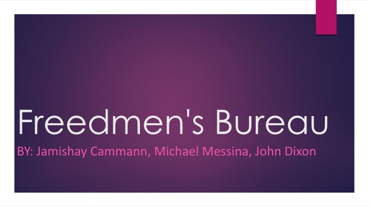 freedmen s bureau by jamishay cammann michael