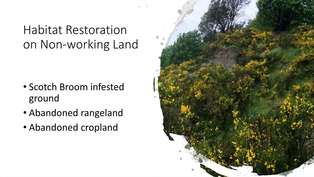 habitat restoration on non working land