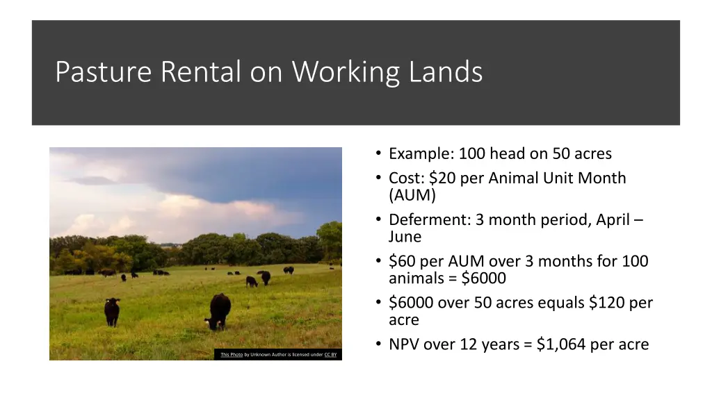 pasture rental on working lands