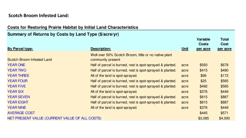 scotch broom infested land