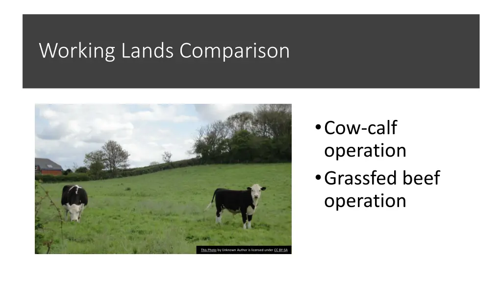 working lands comparison