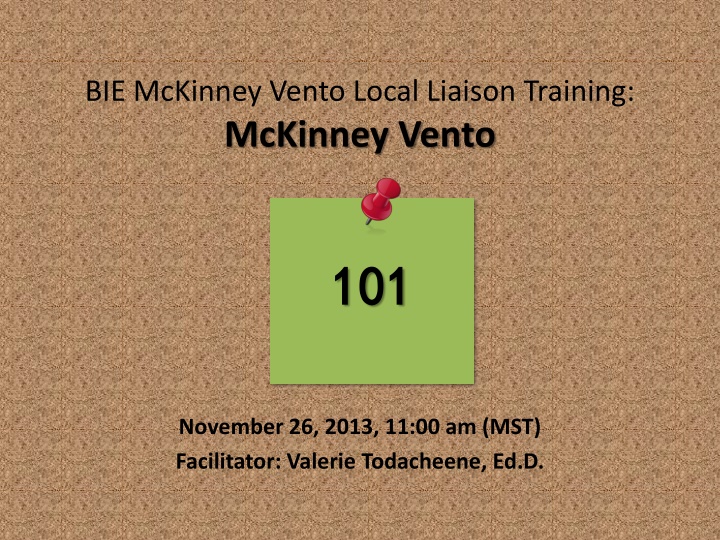 bie mckinney vento local liaison training