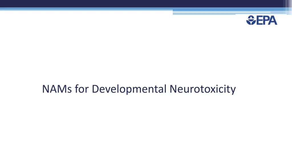 nams for developmental neurotoxicity