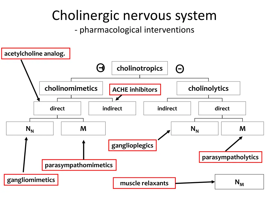 cholinergic nervous system pharmacological