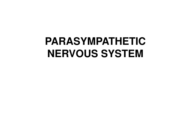 parasympathetic nervous system