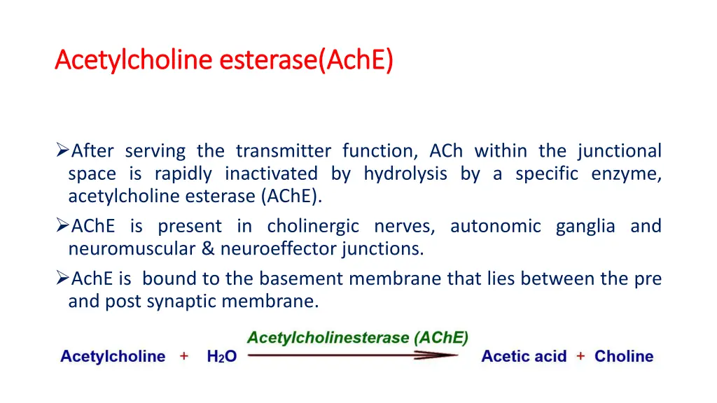 acetylcholine esterase acetylcholine esterase ache