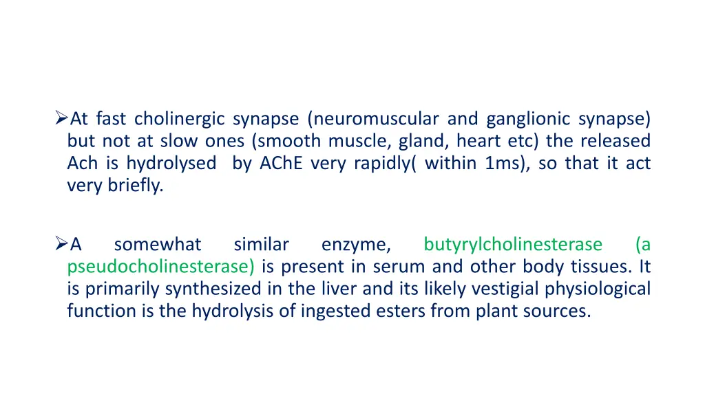 at fast cholinergic synapse neuromuscular