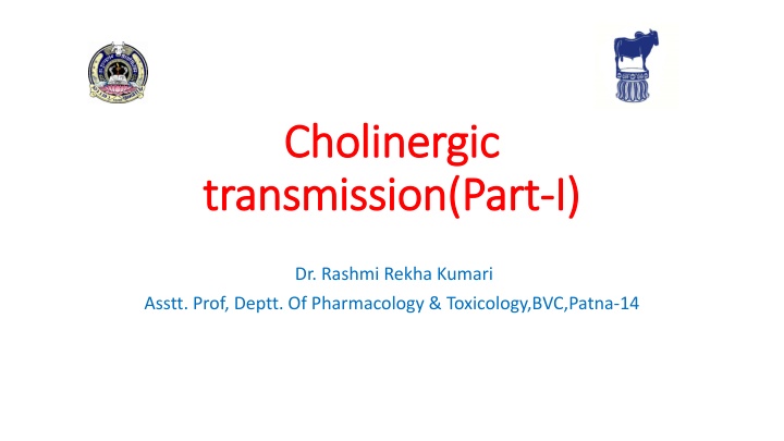 cholinergic cholinergic transmission part