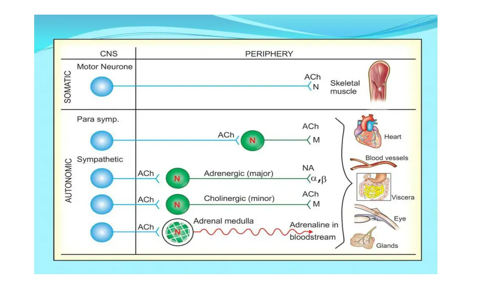 slide3