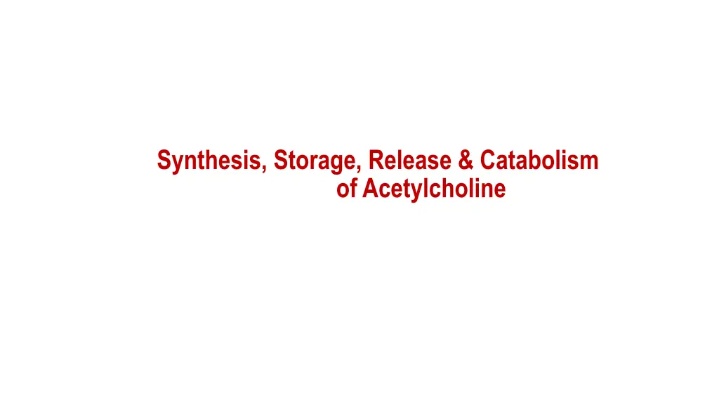 synthesis storage release catabolism